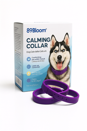 Flea & Tick Collar Purple For Dog, For Lover Dog A03