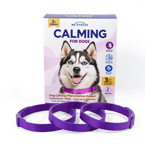 Flea & Tick Collar Purple For Dog, For Lover Dog