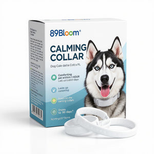 Flea & Tick Collar For Dog, For Lover Dog
