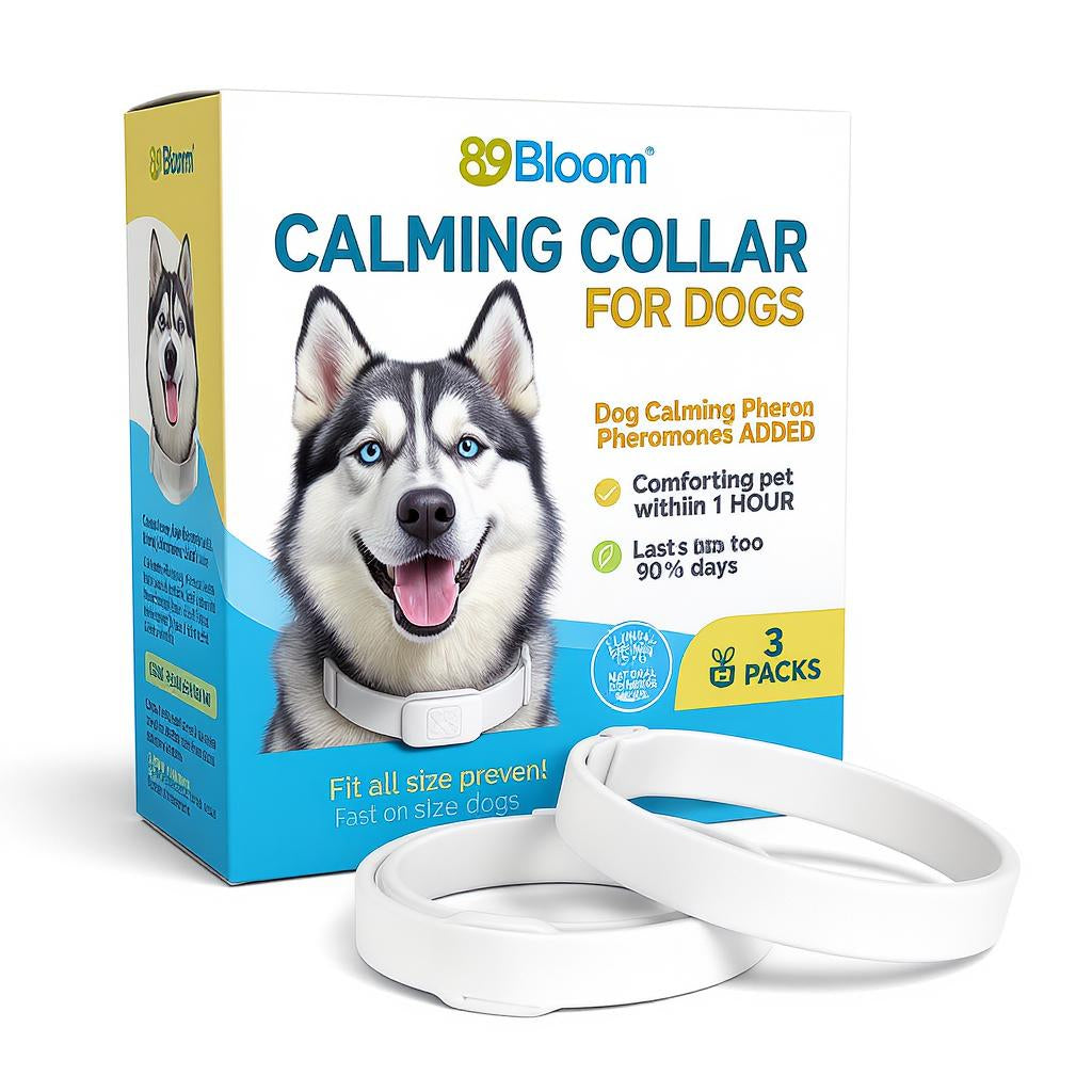 Flea & Tick Collar For Dog, For Lover Dog